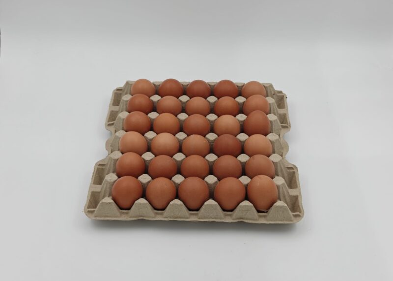 9002_eieren-tray-30-stuks_45deg_01 Eieren (rauw)